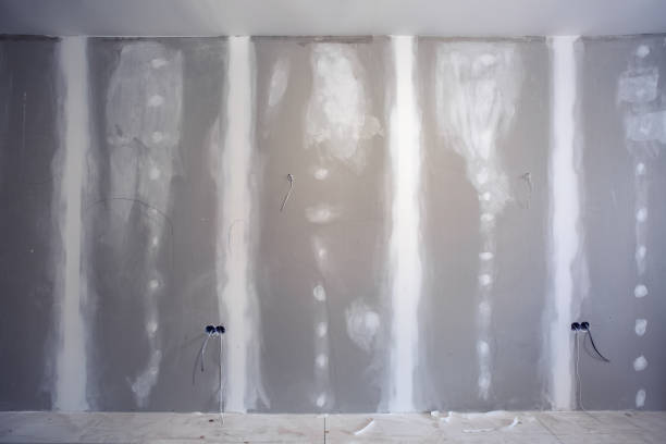 Professional Mold Removal in Reamstown, PA